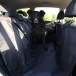 Ochronny koc do auta dla psa